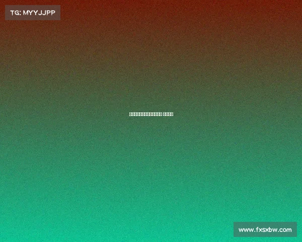 美国排球今天最新赛事、美国 排球联赛